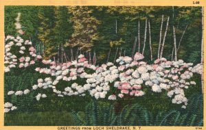 Vintage Postcard 1930's Greetings from Loch Sheldrake Flower Landscape New York