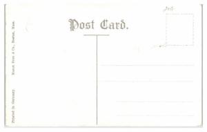 Early 1900s Looking Up the River from Forest Park, Springfield, MA Postcard