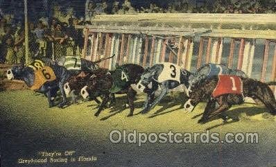 Greyhounds, FL USA Dog Racing, 1967 postal used 1967