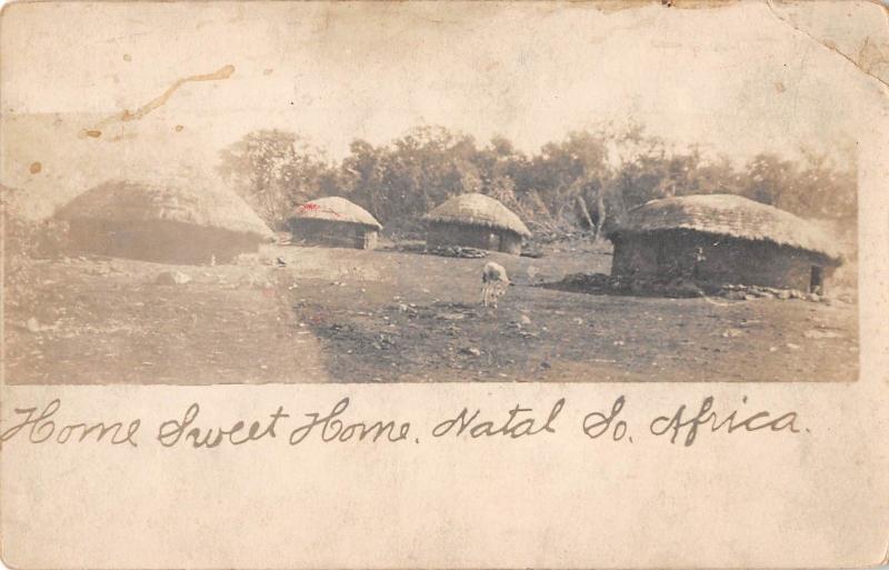 Natal South Africa Village Huts Real Photo Antique Postcard (J26667)