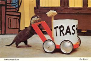 Sea World - San Diego, California