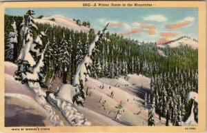 Winter Scene in the Mountains Snow Covered Pine Trees Linen Postcard Z16