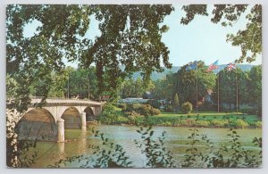 Bridge~Bridge Over Allegheny River @ Warren Pennsylvania~Vintage Postcard