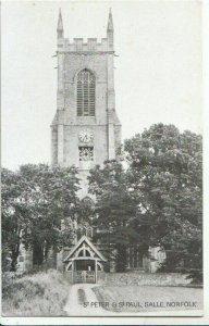 Norfolk Postcard - St Peter & St Paul - Salle - Ref 10712A