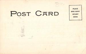 Greensboro North Carolina State Normal School Antique Postcard K80989