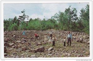 Lourdes, The Stone Field, Rigaud, Quebec, Canada, PU-1969