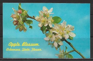 Arkansas - Apple Blossom - State Flower - [AR-019]