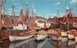 Fishing Boats in Port - Gloucester, Massachusetts MA Postcard