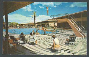 Ca 1958 PPC* The Sands Hotel & Paradise Pool Las Vegas Nv Mint