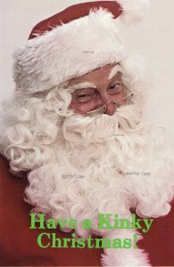 Have A Kinky Christmas & A Horny New Year 1981 Postcard Dirty Santa Clause 4x6