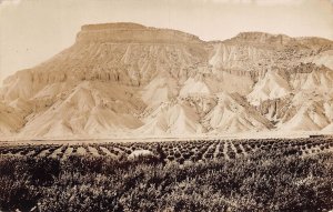 J84/ Grand Junction Colorado RPPC Postcard c1940s Farming Mt Garfield 195