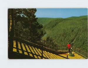 Postcard South view of Pennsylvania's Grand Canyon from the Lookout, PA