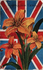 Greetings Canada Patriotic Flag Lilies Arcadia NS Cancel Postcard G61 *as is