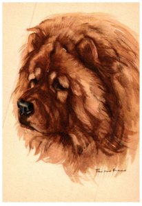 Dog ,  artist  signed