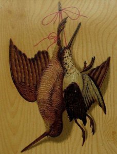 1870's-80's Embossed Thick Wood-Grain Victorian Trade Card Wild-Birds #1 F94