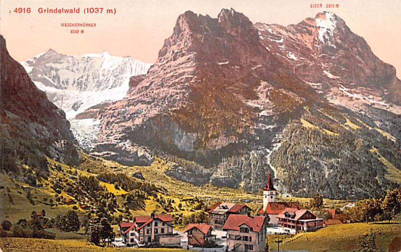 Switzerland Old Vintage Antique Post Card Grindelwald Unused