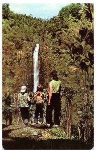 Akaka Fallas Hamakua Hawaii Big Island Postcard