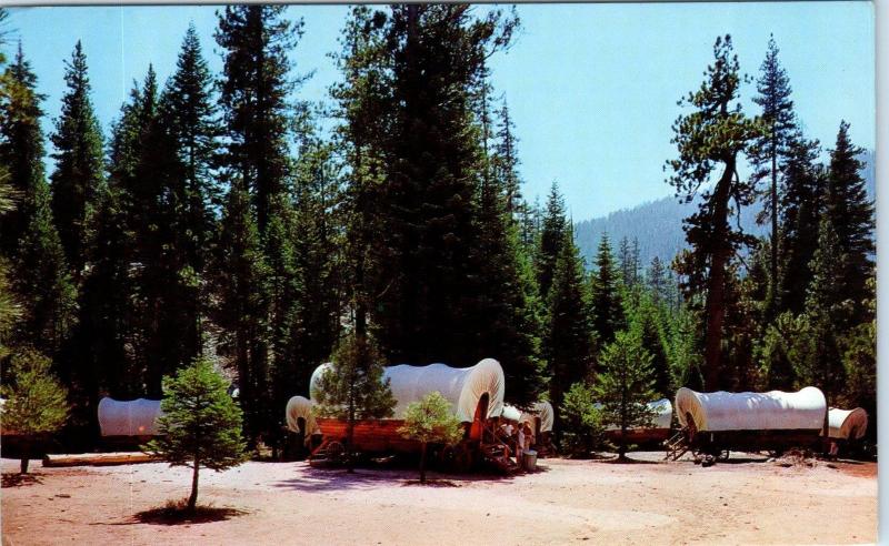 HUME LAKE, CA  California    WAGON TRAIN CAMP  1968   Roadside  Postcard