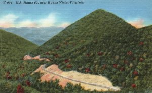 Vintage Postcard US Route 60 Near Buena Vista Virginia VA The Asheville Postcard