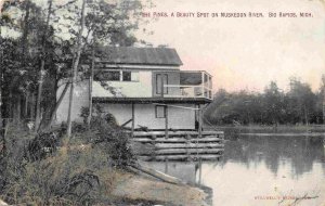 The Pines Muskegon River Big Rapids Michigan 1909 postcard