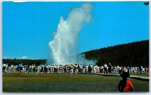 Postcard - Old Faithful Geyser, Yellowstone National Park, Wyoming, USA