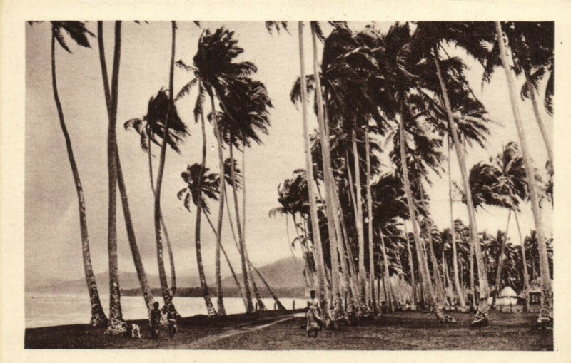 PC CPA SAMOA, PACIFIC, UN ORAGE SUR SAMOA, Vintage Postcard (b19450)