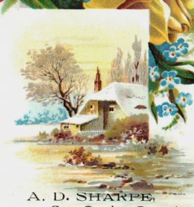 1880s A.D. Sharpe Dry Goods Winter Scenes Lot Of 2 F49