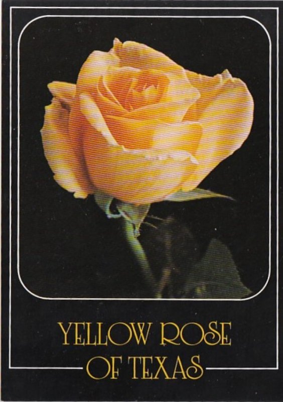 Texas The Yellow Rose of Texas