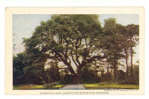 VA - Jamestown Exposition, 1907. No. 113 - Powhatan Oak 