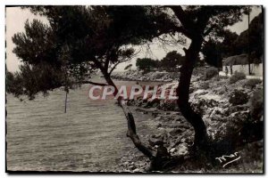 Postcard Modern Bandol Sous Bois and Seaside From Capeland