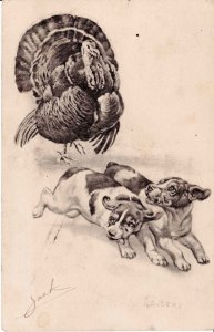 Belgium ANDERS illustration / c1904 Turkey Chasing Dogs / Black and White