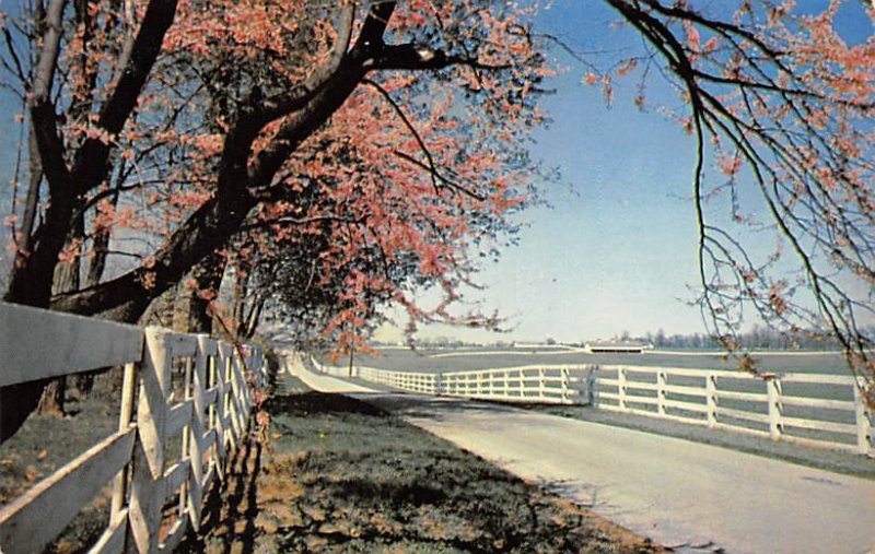 Horse farm Lexington KY