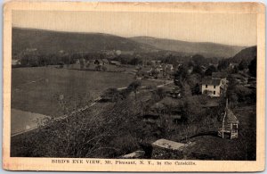 VINTAGE POSTCARD BIRD'S EYE VIEW OF MT. PLEASANT IN THE NY CATSKILLS POSTED 1915