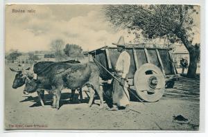 Ox Cart Peasant Farmer Farming Mexico 1910c postcard