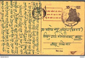 India Postal Stationery Tiger 15 Jaipur cds