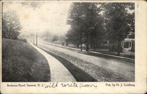 Summit NJ Beekman Road Pre-1910 Goldberg Pub Vintage Postcard