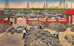 Sponges and Sponge Boats  Tarpon Springs FL