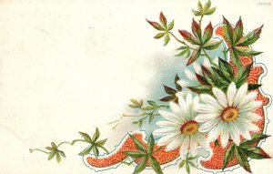 Vintage Postcard 1907 Greetings And Wishes Cards Avenir White Flower Calligraphy