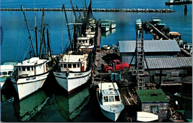 Vtg Shrimp Fleet & Fishing Boats from Tower at Turtle Kraal Key West FL Postcard