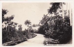 Cuba Typical Cuban Landscape Paisaje Cubano Real Photo