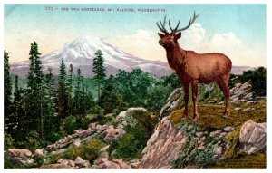 No. 1771 The Two Sentinels Mt. Reiner Washington Mitchell Postcard. Posted 1910