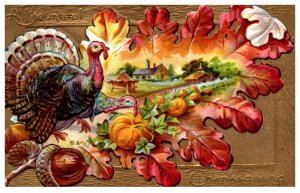 Thanksgiving  , Turkey Autumn Leaf, acorns