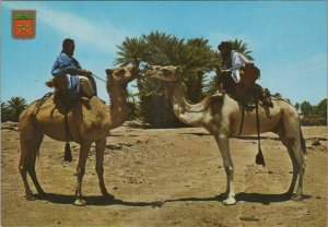 Morocco Postcard - Camels - Meharistas De M'Hamid  RR10582