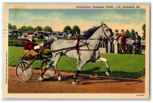 1940 Greyhound Champion Troffer Horse View Lexington Kentucky KY Posted Postcard