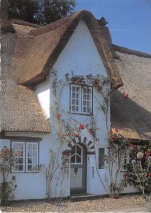 B53998 Friesenhausgiebel an der Nordsee Amrun   germany