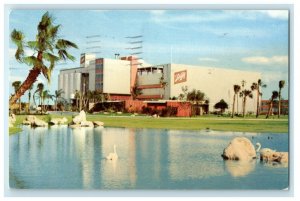 1963 Schlitz Tampa Plant Brewing Skill Company Tampa Largo Florida FL Postcard