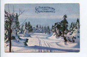 424565 RUSSIA Merry Christmas trees in the winter forest Vintage postcard