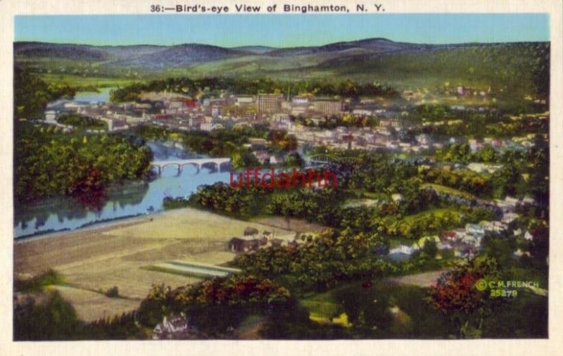 BIRD'S-EYE VIEW OF BINGHAMTON, NY