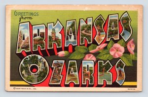 Large Letter Greetings From Arkansas Ozarks AR UNP Unused Linen Postcard M14