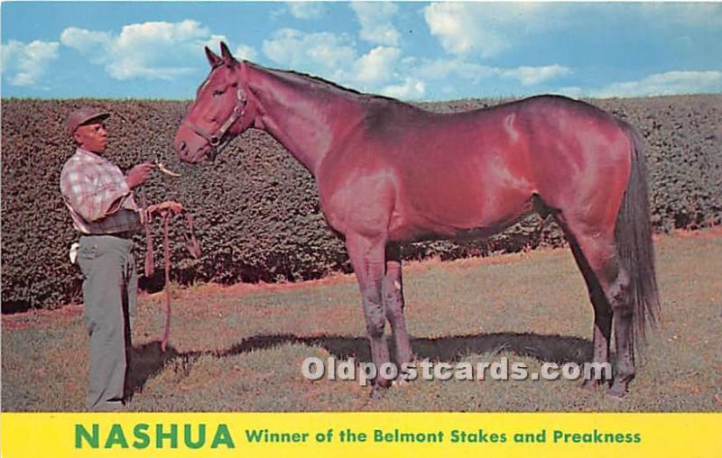 Nashua, Winner of the Belmont Stakes and Preakness Lexington, KY , USA Horse ...